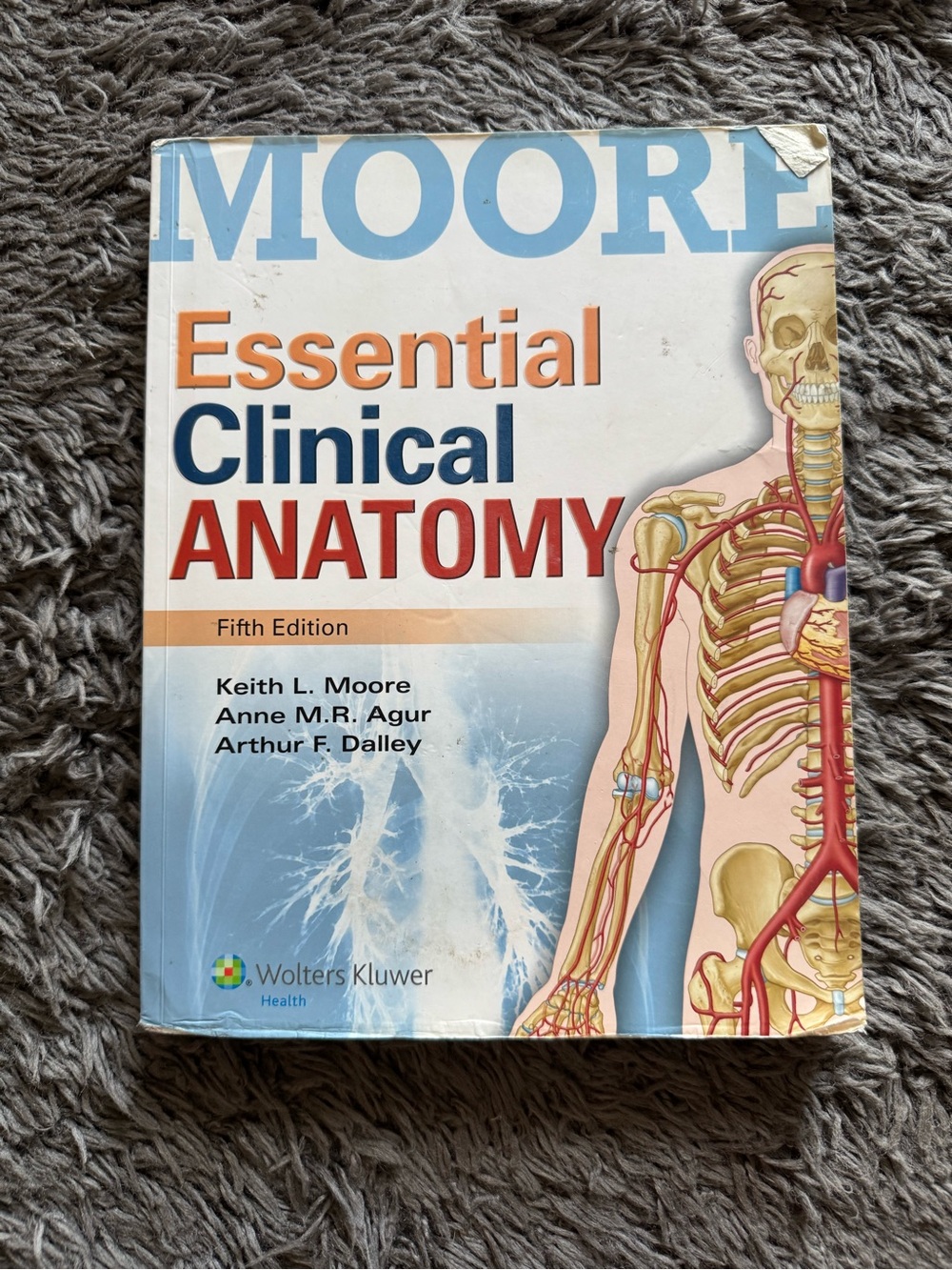 Essential Clinical Anatomy 5th Edition Moore Agur Dalley Medical Textbook